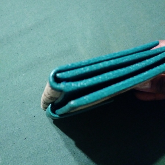 Meet your Posher, Joey - Picture 4 of 5